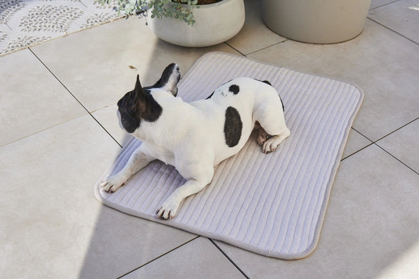 ONDA — Couverture matelassée en coton pour chien