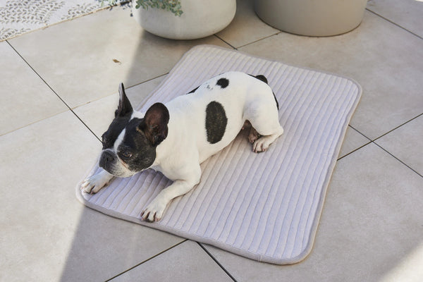 ONDA — Couverture matelassée en coton pour chien