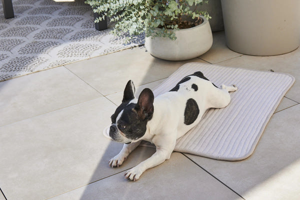 ONDA — Couverture matelassée en coton pour chien