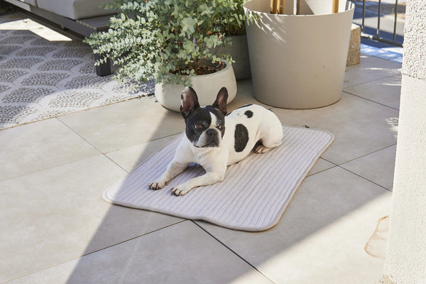 ONDA — Couverture matelassée en coton pour chien