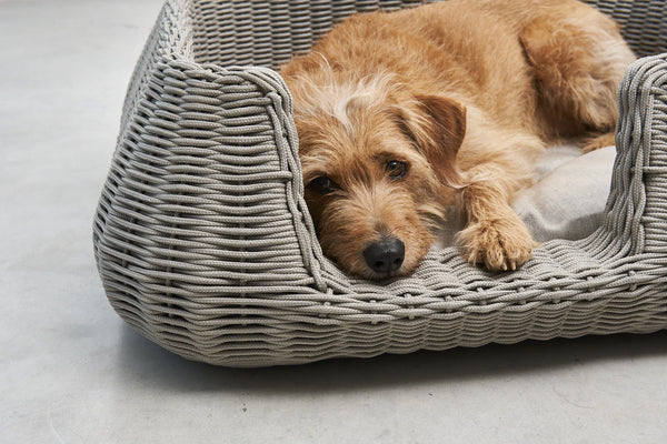 MIO — Panier pour chien en corde tressée, intérieur et extérieur