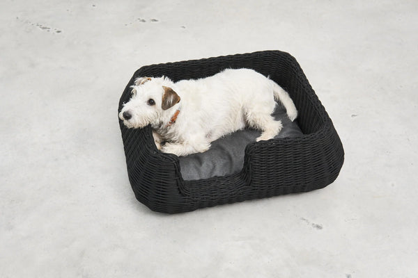 MIO — Panier pour chien en corde tressée, intérieur et extérieur