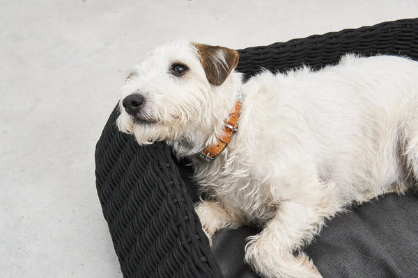 MIO — Panier pour chien en corde tressée, intérieur et extérieur
