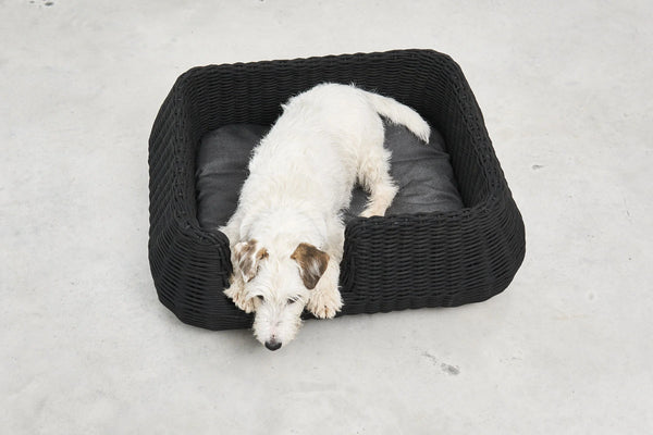 MIO — Panier pour chien en corde tressée, intérieur et extérieur