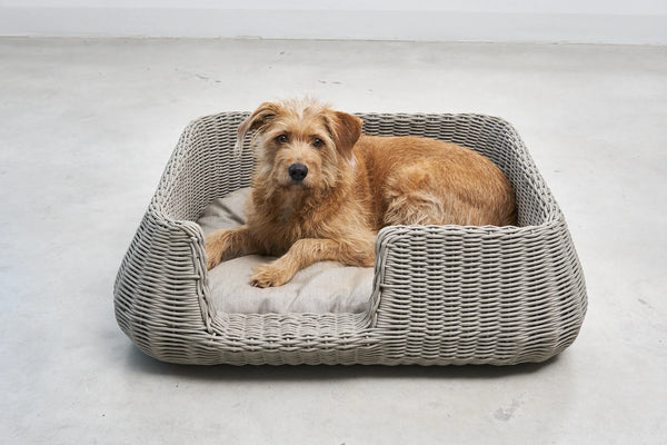 MIO — Panier pour chien en corde tressée, intérieur et extérieur