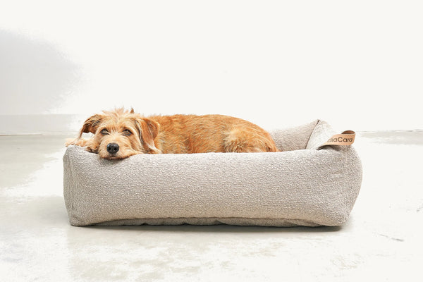 MONDO — Lit pour chien en bouclette, confort orthopédique et design épuré