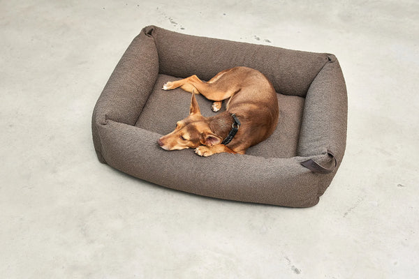 MONDO — Lit pour chien en bouclette, confort orthopédique et design épuré