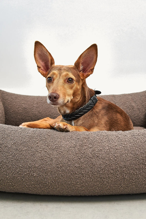 MONDO — Lit pour chien en bouclette, confort orthopédique et design épuré