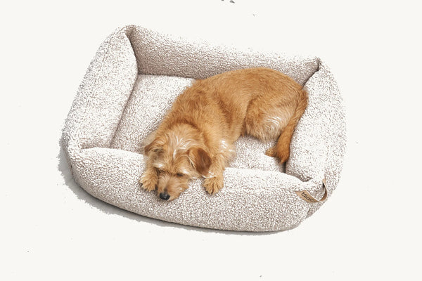 SENSO — Panier coffre en tissu bouclé pour chien