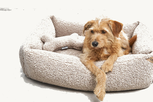SENSO — Panier coffre en tissu bouclé pour chien