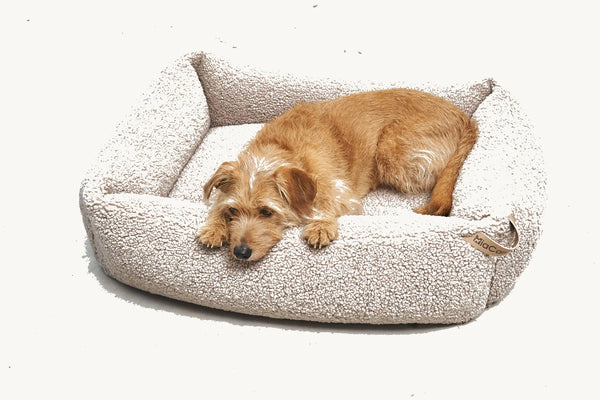 SENSO — Panier coffre en tissu bouclé pour chien