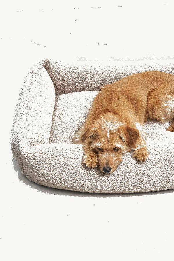 SENSO — Panier coffre en tissu bouclé pour chien