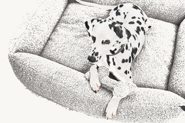 SENSO — Panier coffre en tissu bouclé pour chien