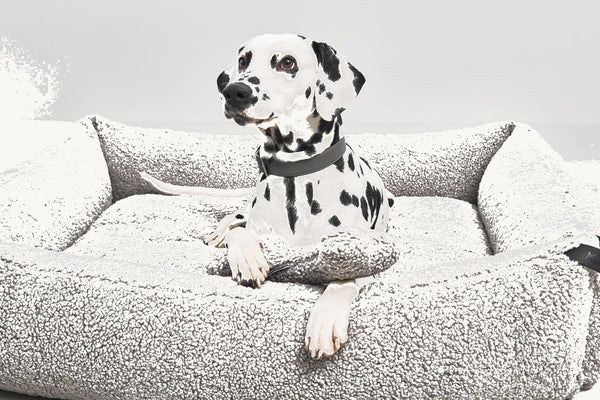 SENSO — Panier coffre en tissu bouclé pour chien