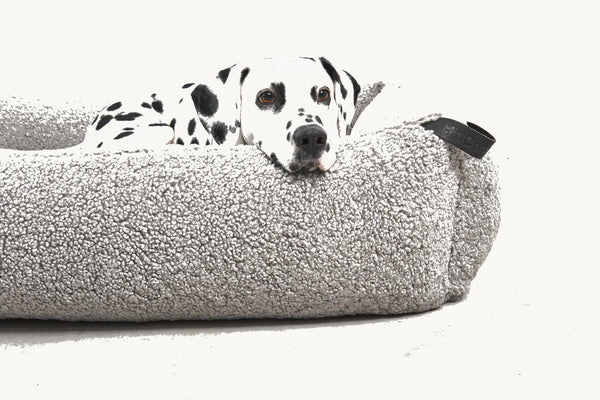 SENSO — Panier coffre en tissu bouclé pour chien
