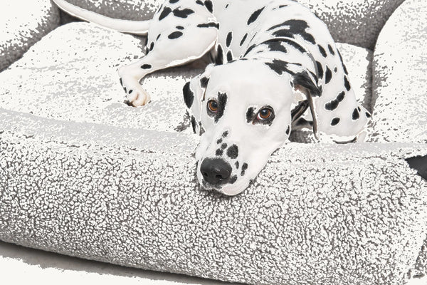 SENSO — Panier coffre en tissu bouclé pour chien