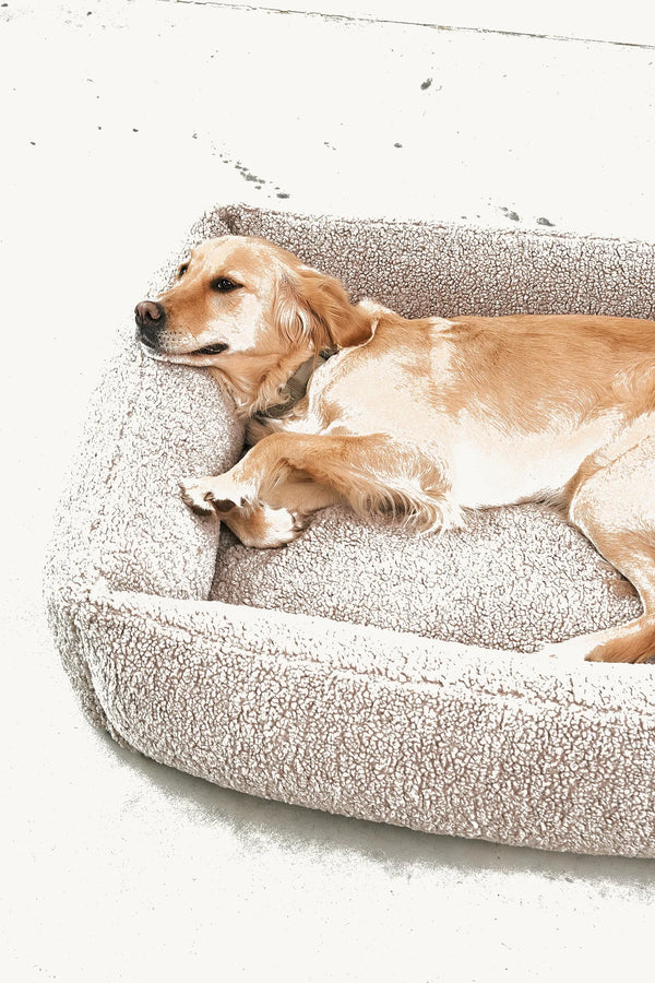 SENSO — Panier coffre en tissu bouclé pour chien