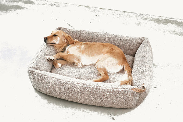 SENSO — Panier coffre en tissu bouclé pour chien