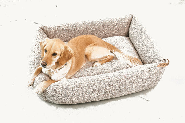 SENSO — Panier coffre en tissu bouclé pour chien