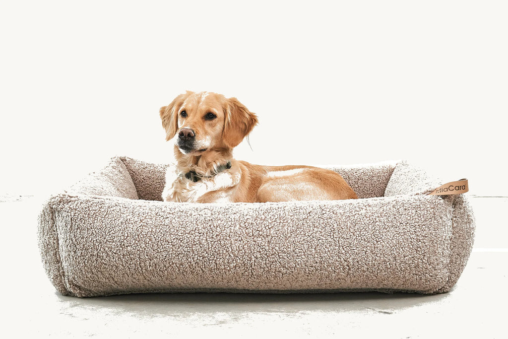 Panier Senso MiaCara – golden retriever profil dans panier coffre bouclé greige – Maison Canisya