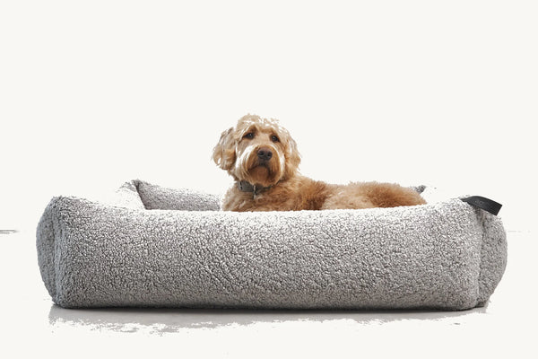 SENSO — Panier coffre en tissu bouclé pour chien