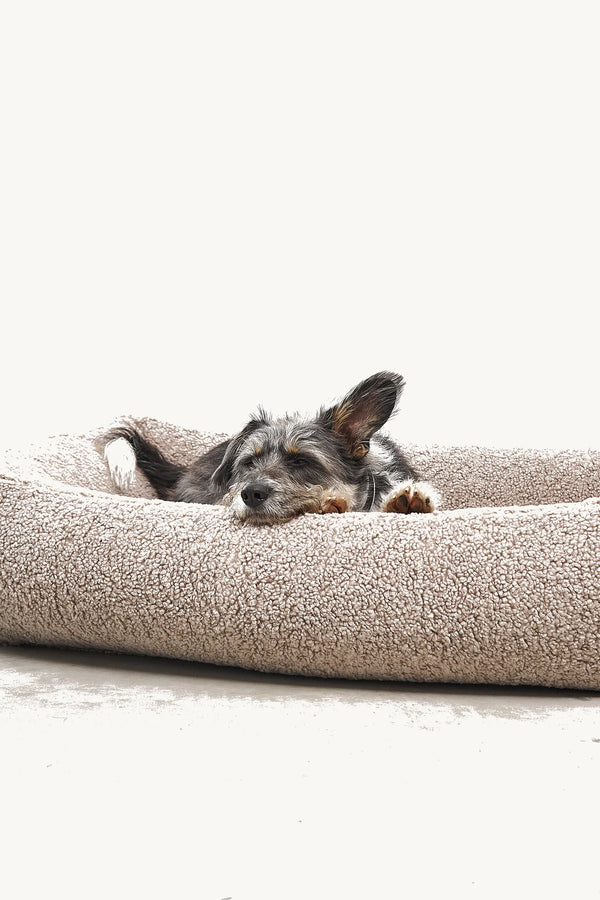 SENSO — Panier coffre en tissu bouclé pour chien