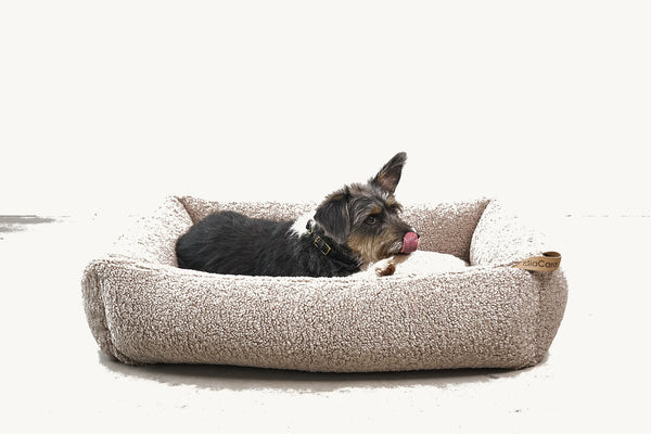 SENSO — Panier coffre en tissu bouclé pour chien