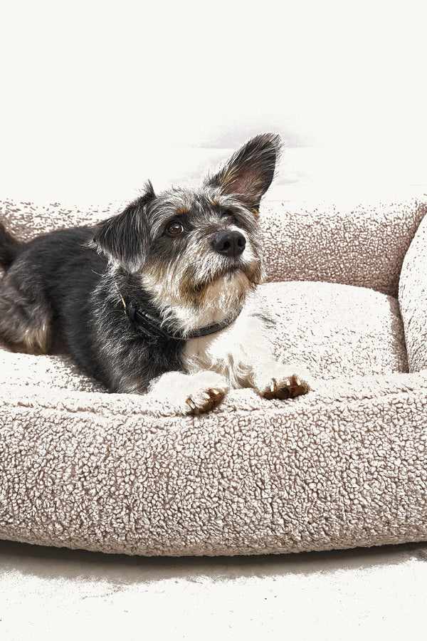SENSO — Panier coffre en tissu bouclé pour chien