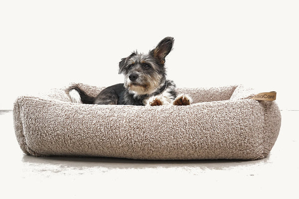 SENSO — Panier coffre en tissu bouclé pour chien