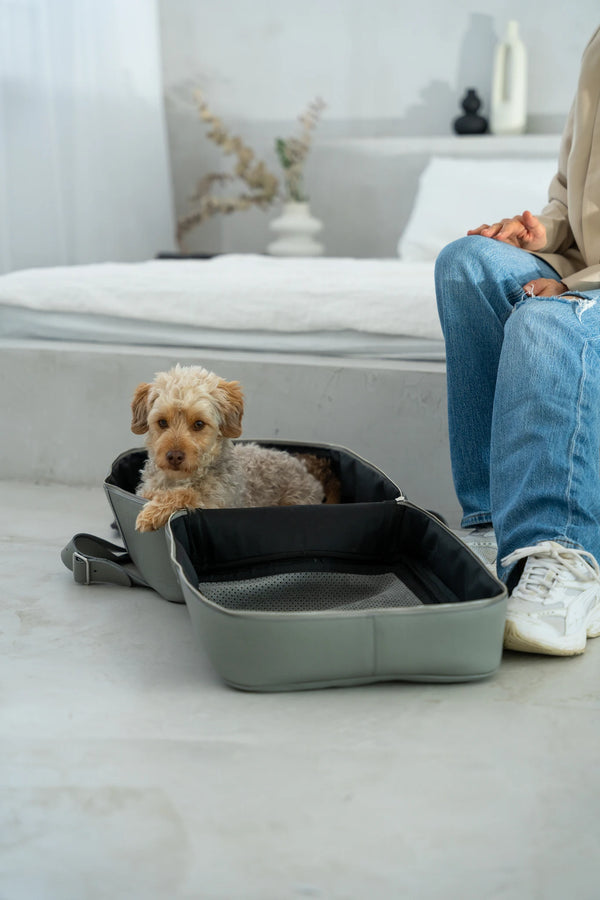 PAWLII — Sac à dos de transport pour chien en cuir italien