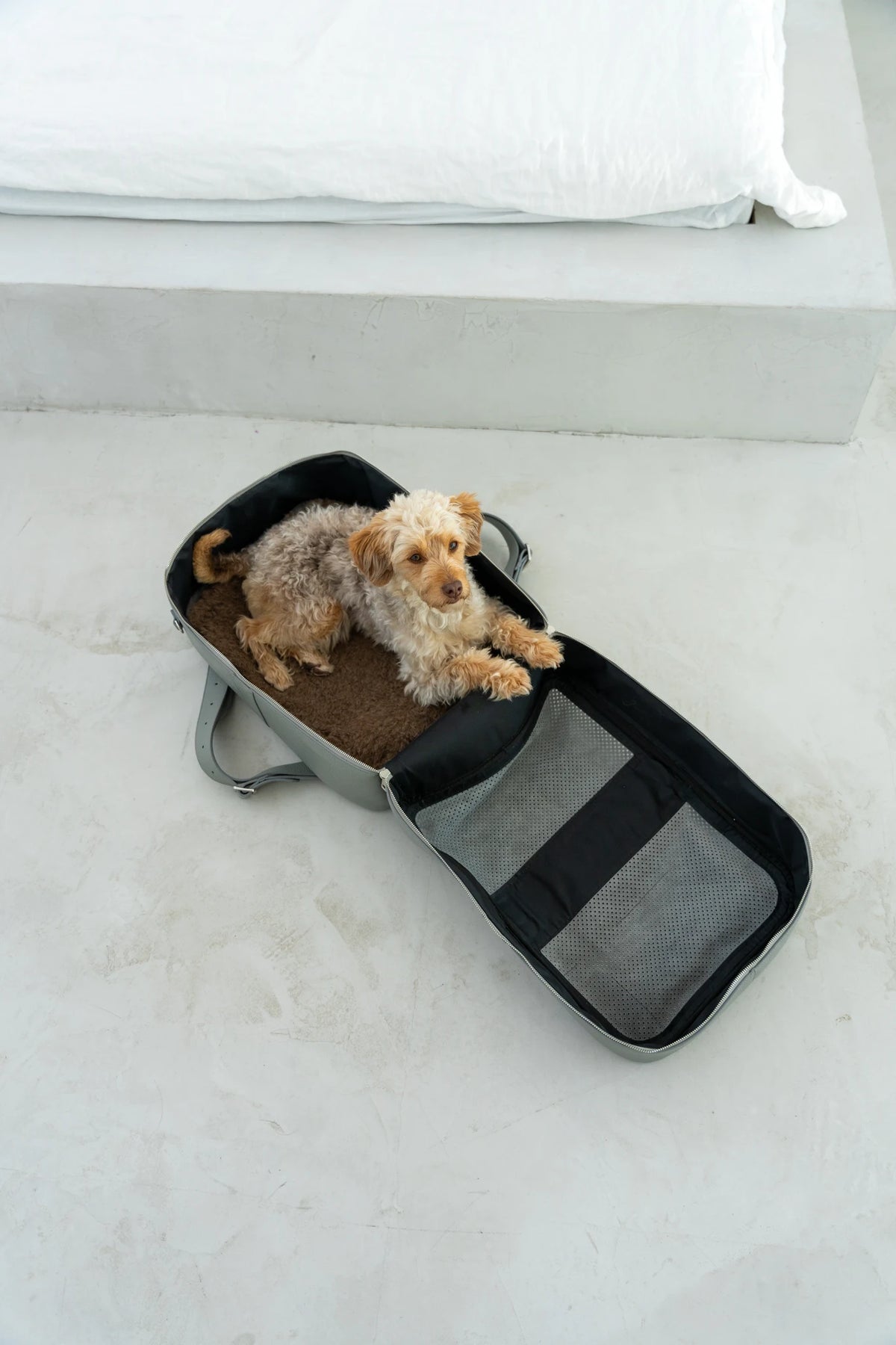 PAWLII Sac à dos de transport pour chien – cuir gris pierre, tapis polaire d'alpaga amovible – Maison Canisya