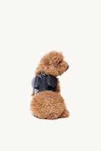 Pimpan – caniche nain assis de dos avec harnais en cuir noir et deux poches – Maison Canisya