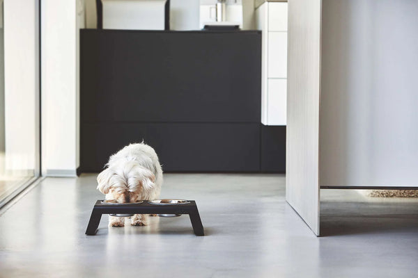 DESCO ALU — Porte-gamelle surélevé en aluminium thermolaqué, intérieur & extérieur