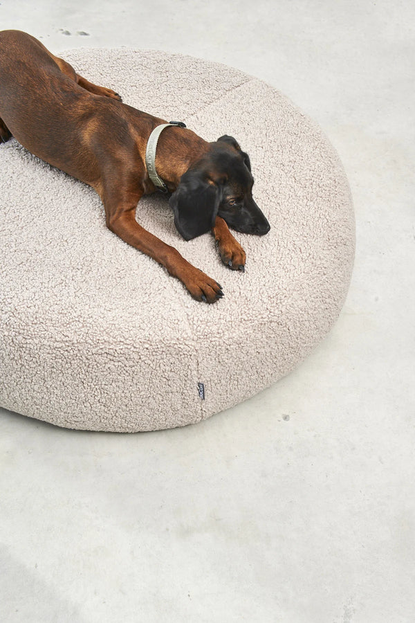SENSO — Pouf pour chien en bouclé, confort absolu et design épuré