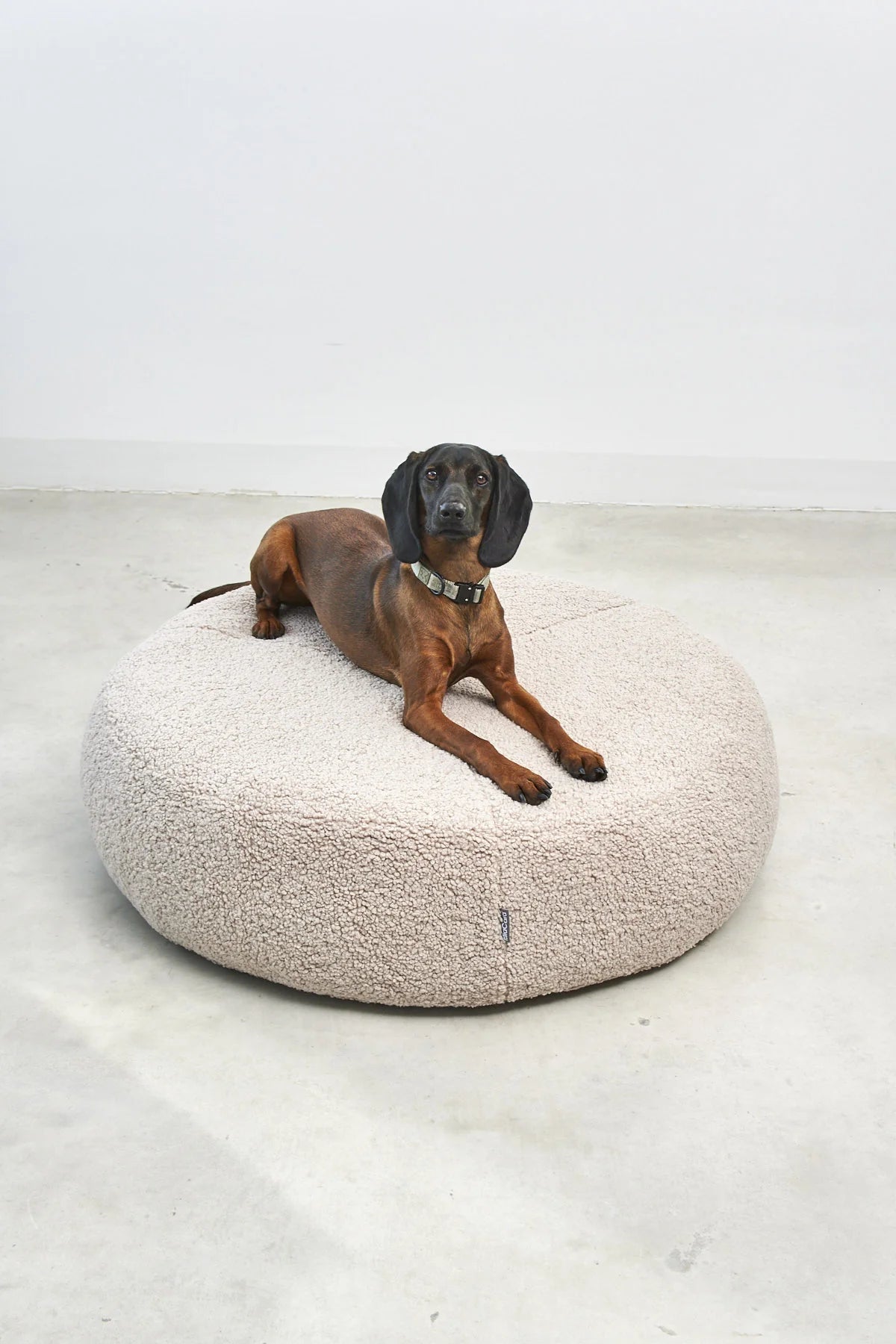 Pouf pour chien Senso – Rhodesian Ridgeback assis en coloris Greige, taille ML – Maison Canisya
