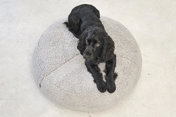 SENSO — Pouf pour chien en bouclé, confort absolu et design épuré