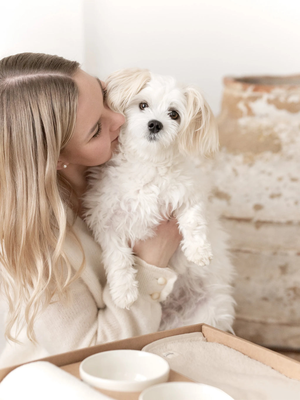 Puppy Box – chiot maltais câliné par sa maîtresse – Maison Canisya
