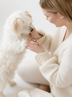 Puppy Box – patte du chiot posée dans la main de sa maîtresse – Maison Canisya