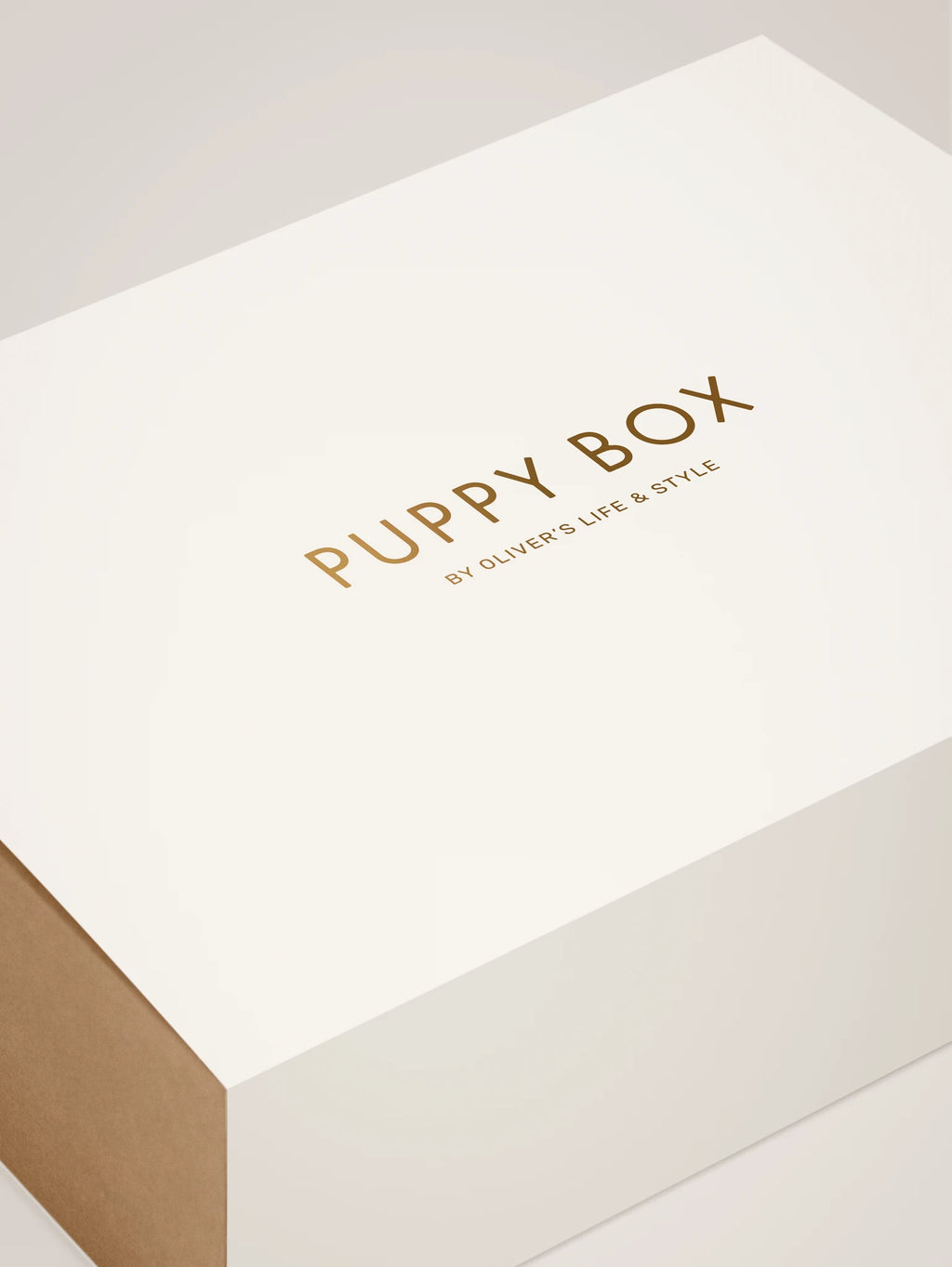Puppy Box – boîte cadeau refermable dorée à l'or fin – Maison Canisya