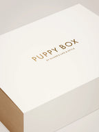 Puppy Box – boîte cadeau refermable dorée à l'or fin – Maison Canisya