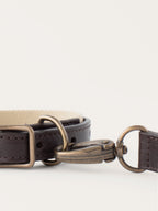 Puppy Box – boucle en laiton du collier en cuir – Maison Canisya
