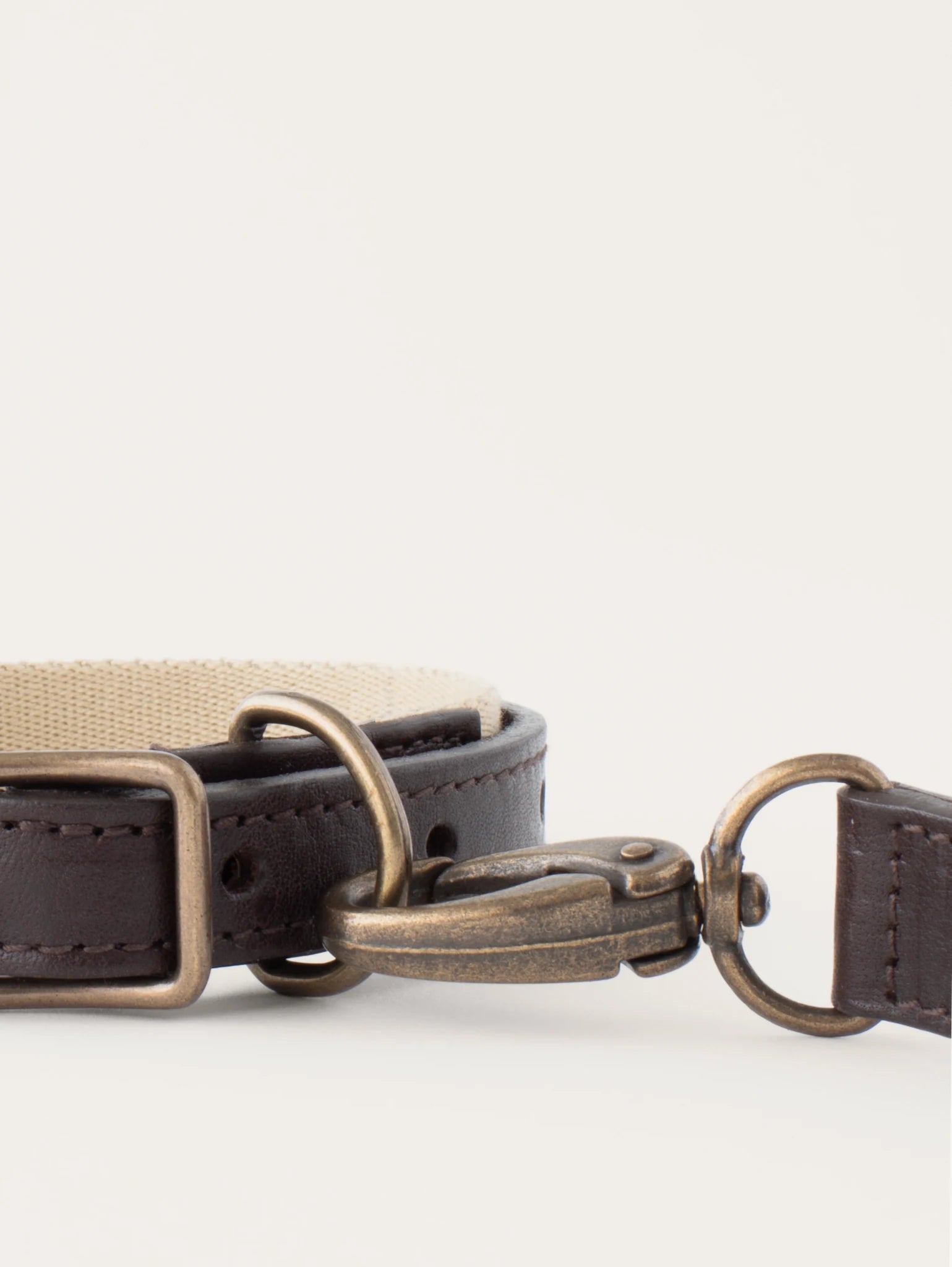 Puppy Box – boucle en laiton du collier en cuir – Maison Canisya