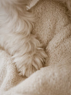 Puppy Box – pattes du chiot séchées dans la serviette éponge – Maison Canisya