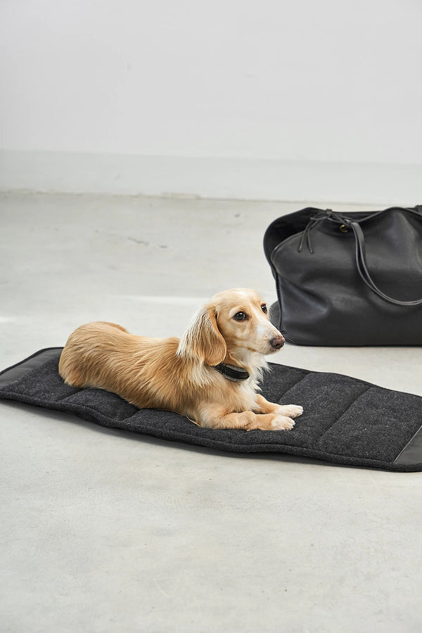 BORSA — Sac de transport en cuir pour chien