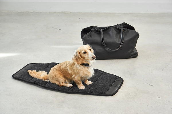 BORSA — Sac de transport en cuir pour chien