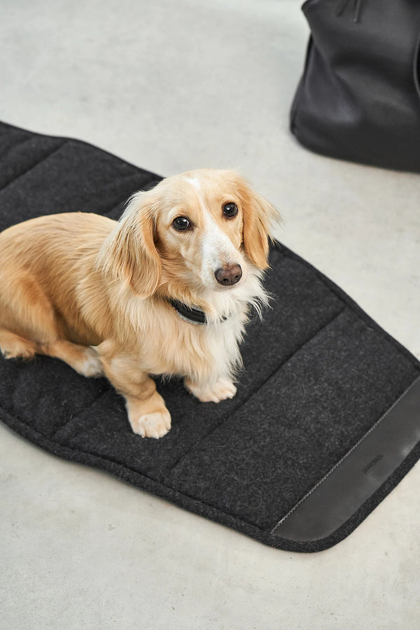 BORSA — Sac de transport en cuir pour chien
