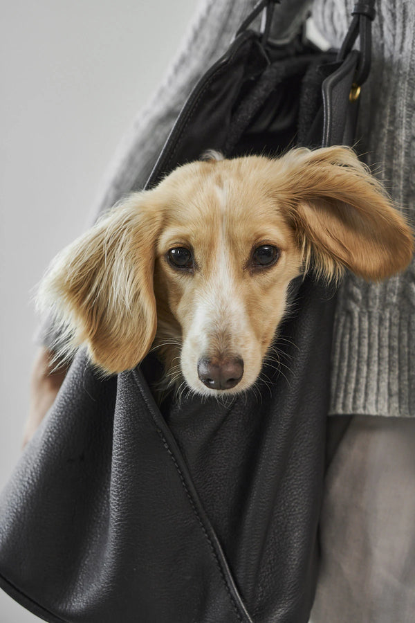 BORSA — Sac de transport en cuir pour chien
