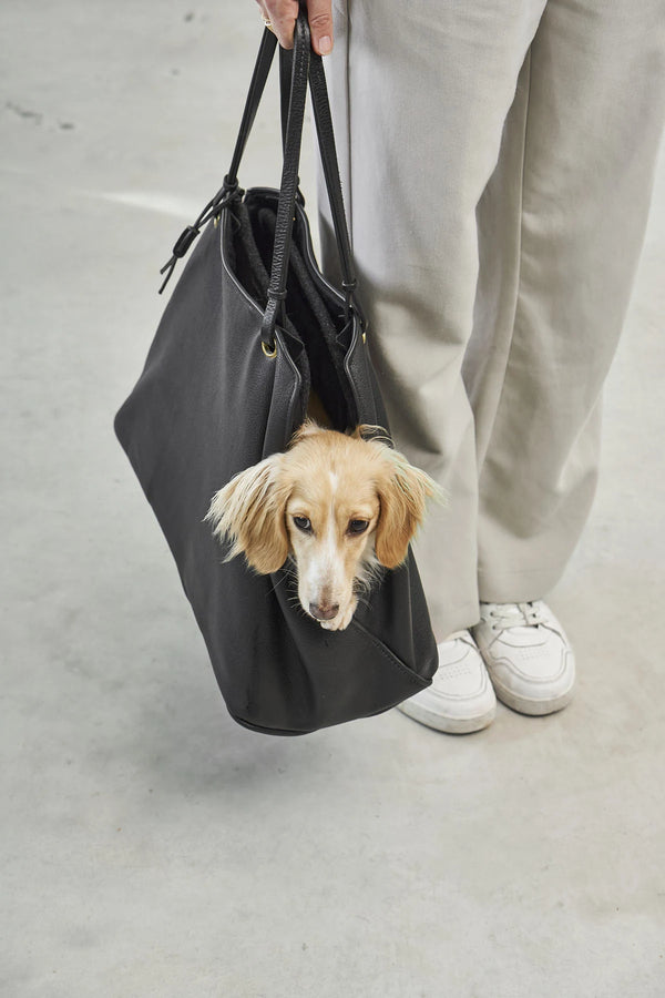 BORSA — Sac de transport en cuir pour chien