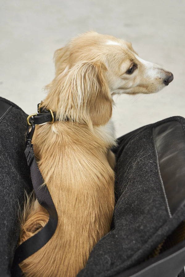 BORSA — Sac de transport en cuir pour chien