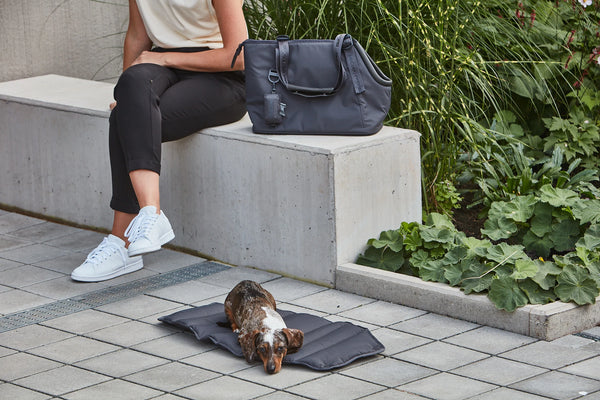 SPORTA — Sac de transport chien en polyester recyclé